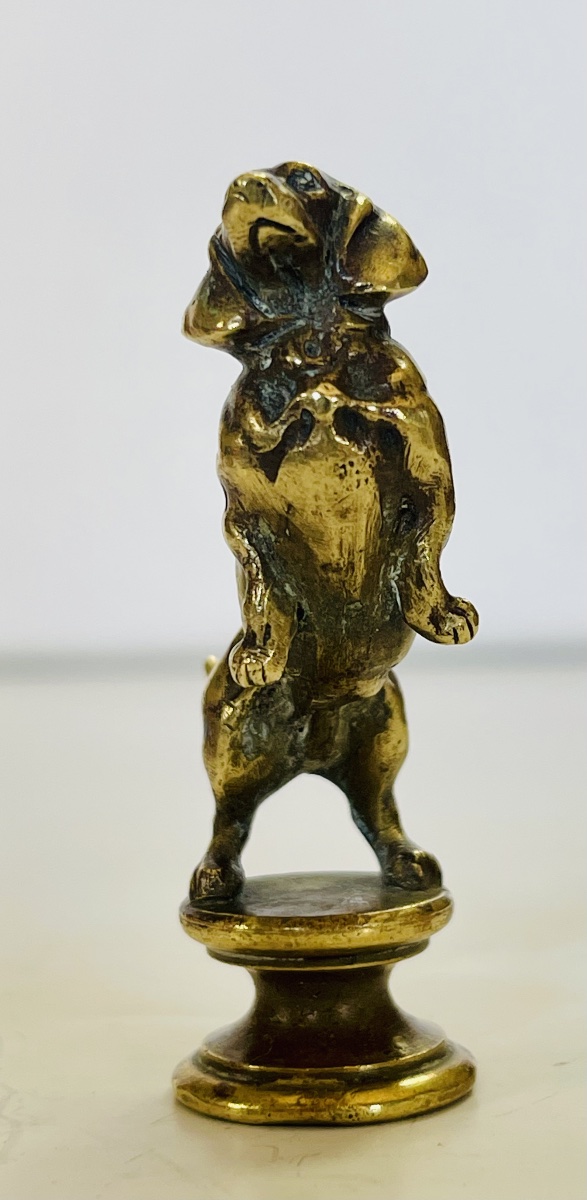 Basset Seal -photo-3
